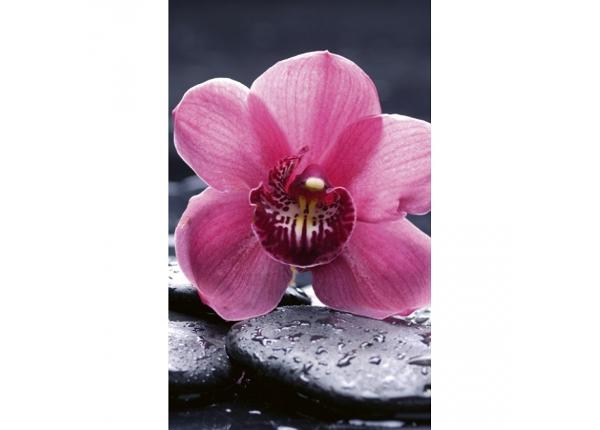 Флизелиновые фотообои Orchid 150x250 см
