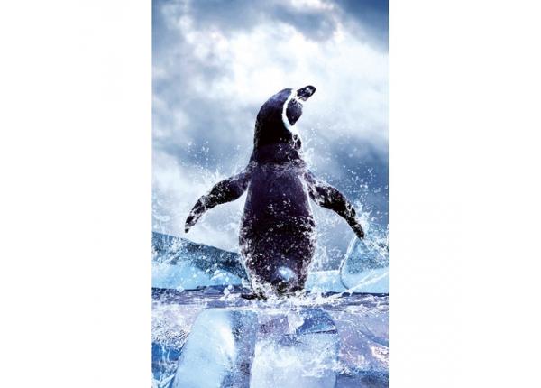 Флизелиновые фотообои Penguin 150x250 см