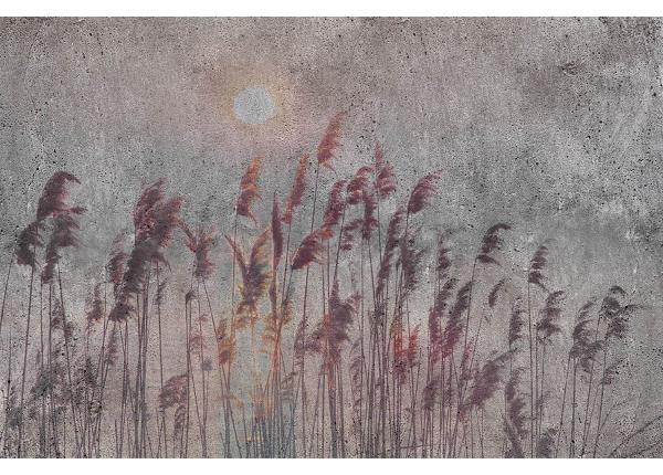 Флизелиновые фотообои Reed Abstract 150x250 см