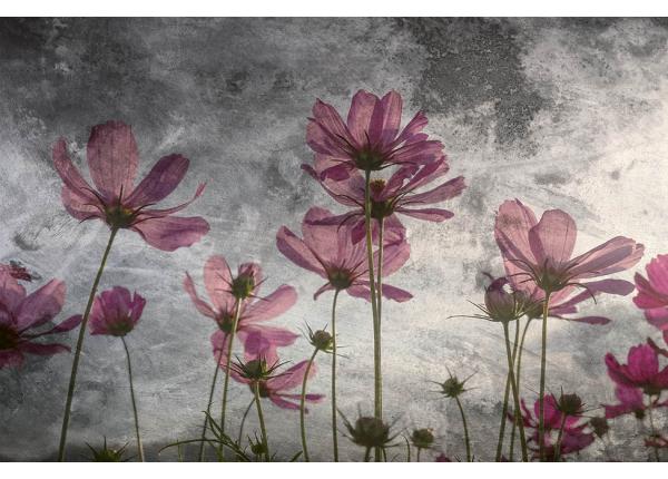 Флизелиновые фотообои Violet Flower Abstract 150x250 см