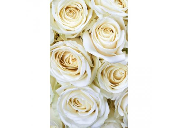 Флизелиновые фотообои White roses 150x250 см