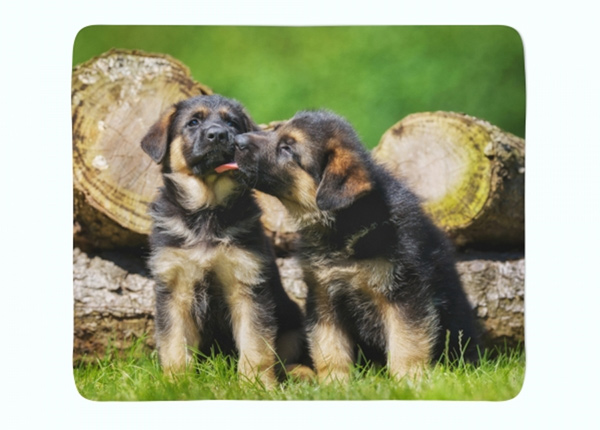Флисовый плед Cute German Shepherd Puppies 130x150 см