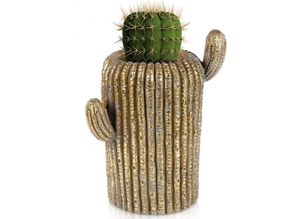 Цветочный горшок кактус