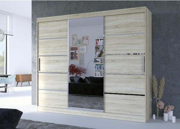 Шкаф-купе Sania 250 cm