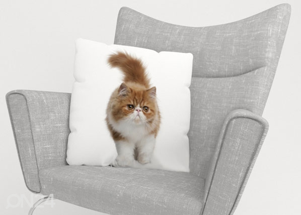 Dekoratiivpadjapüür Fluffy Cat 40x60 cm