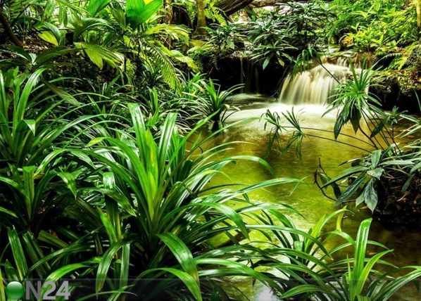 Fliis-fototapeet Jungle waterfall lagoon 360x270 cm