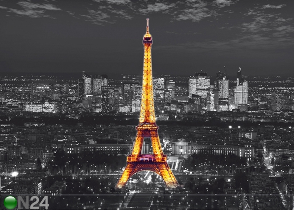 Fliis-fototapeet Night in Paris 360x270 cm