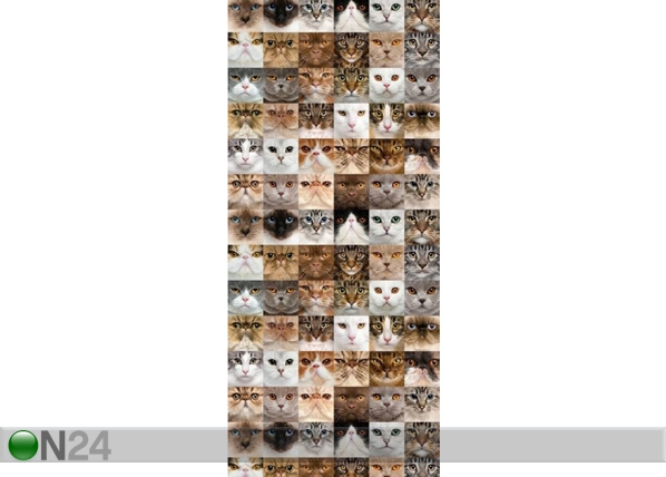 Fliistapeet Cats 53x1000 cm