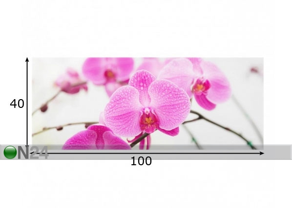 Fotoklaas, köögi tagasein Close Orchid 40x100 cm mõõdud