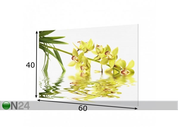 Fotoklaas, köögi tagasein Elegant Orchid Waters 40x60 cm mõõdud