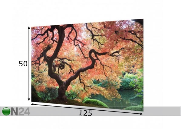Fotoklaas, köögi tagasein Japanese Garden 50x125 cm mõõdud