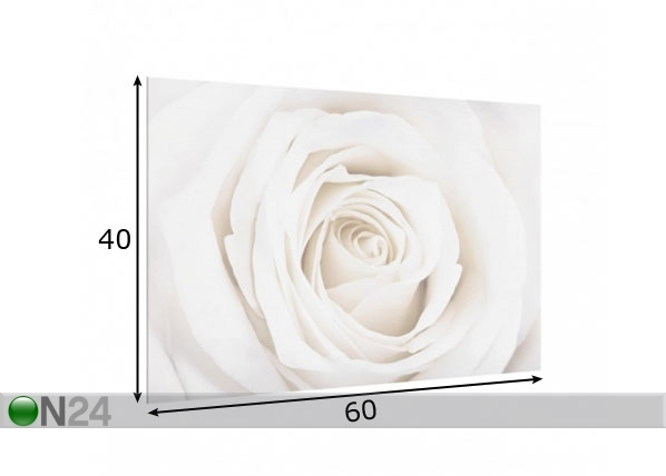 Fotoklaas, köögi tagasein Pretty White Rose 1, 40x60 cm mõõdud