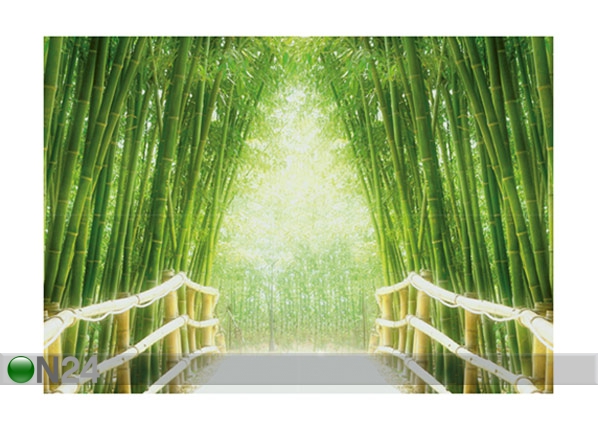 Fototapeet Bamboo walk 400x280 cm