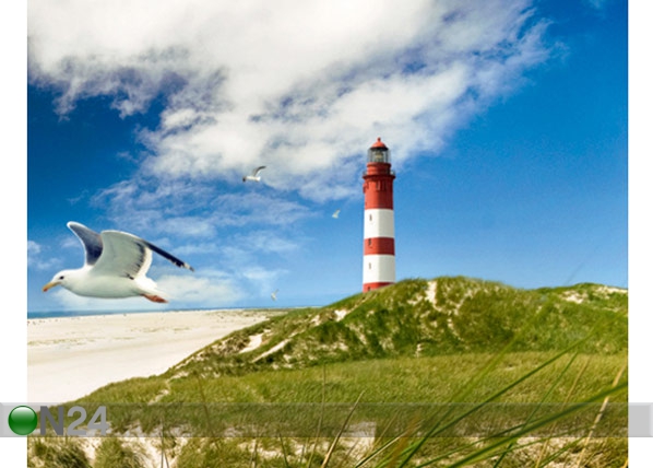 Fototapeet Lighthouse in dunes 300x280cm