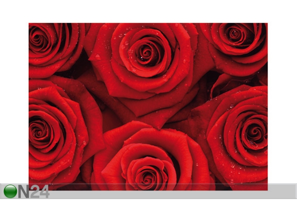 Fototapeet Sea of roses 400x280 cm