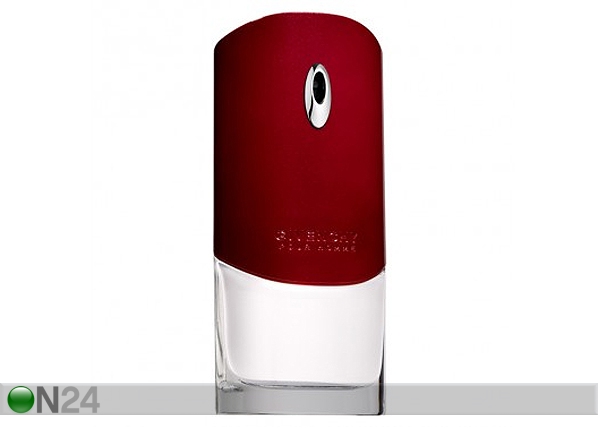 Givenchy Pour Homme EDT 100ml