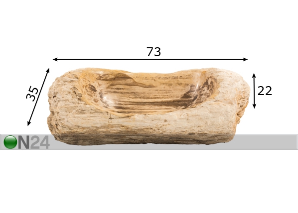 Kivistunud puidust valamu mõõdud
