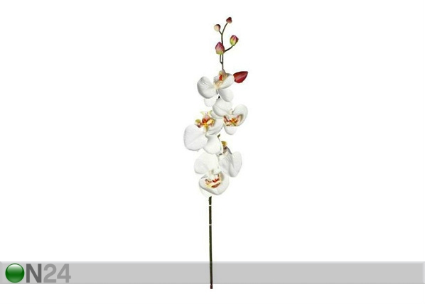 Kunstlill Orhidee kreem