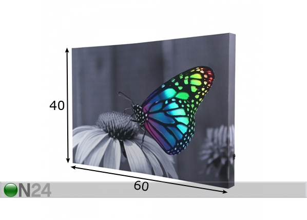 LED pilt Changing Butterfly 60x40 cm mõõdud