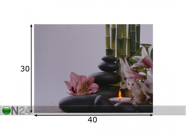 LED pilt Flowers & Pebbles 30x40 cm mõõdud