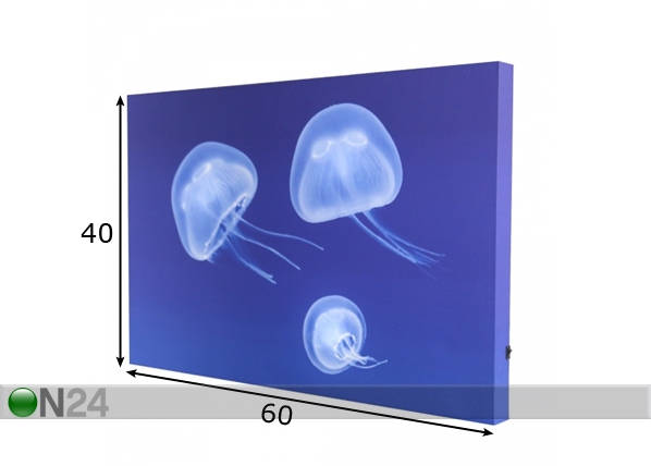 LED pilt Mural Jellyfish 60x40 cm mõõdud