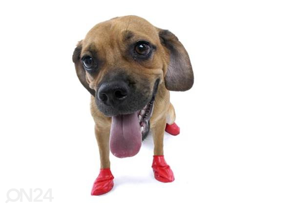 Pawz резиновые носки для собак s красные n12