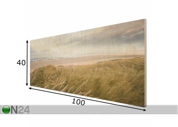 Seinapilt puidul Dunes dream 40x100 cm mõõdud