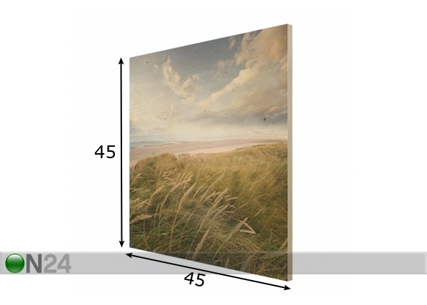 Seinapilt puidul Dunes dream 45x45 cm mõõdud