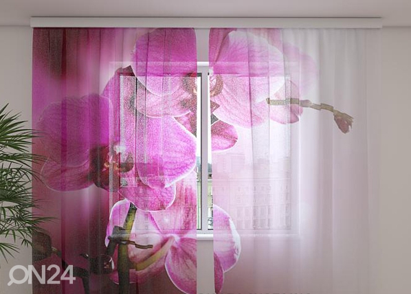 Šifoon-fotokardin Purple orchids 240x220 cm