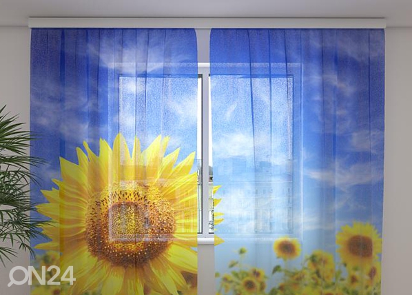 Šifoon-fotokardin Sunflower 240x220 cm