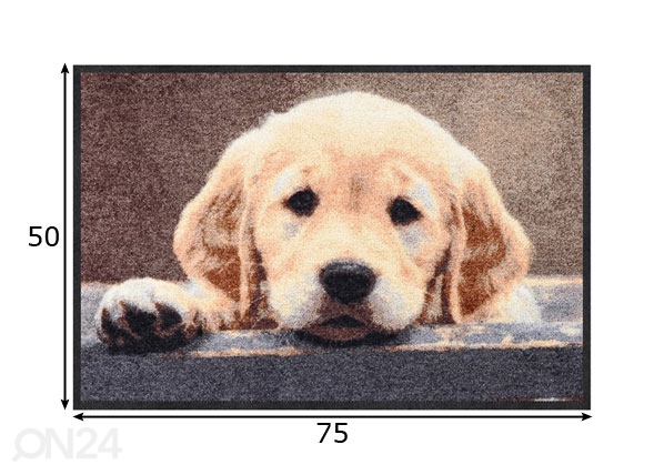 Uksematt Nosy Dog 50x75 cm mõõdud