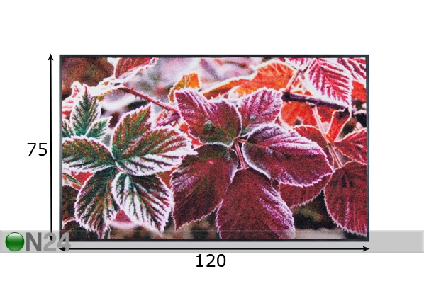 Vaip Frozen Leaves 75x120 cm mõõdud