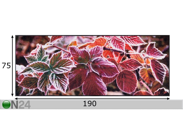 Vaip Frozen Leaves 75x190 cm mõõdud