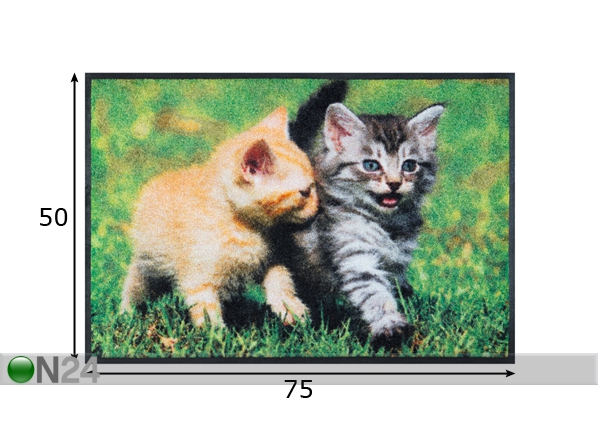 Vaip Lovely Cats 50x75 cm mõõdud