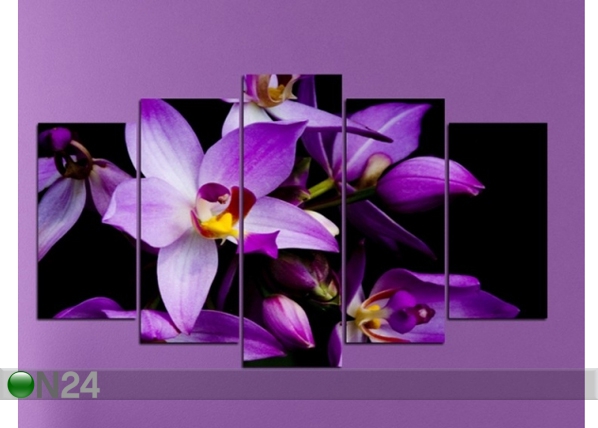 Viieosaline seinapilt Orchids 1, 100x60 cm