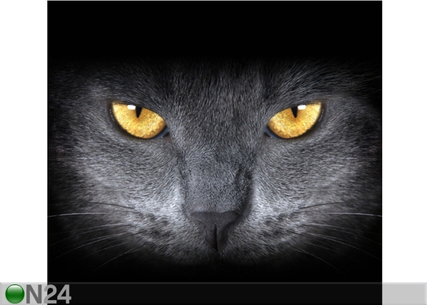 Затемняющее фотошторы Black Cat 280x245 см