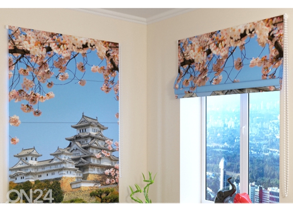 Затемняющие римские шторы Japan 100x120 cm