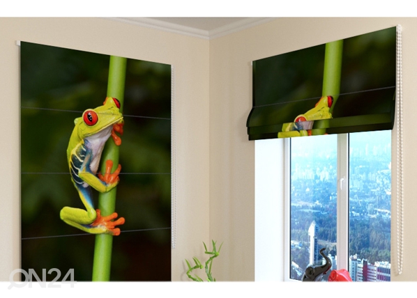 Затемняющие римские шторы Little Frog 60x60 cm