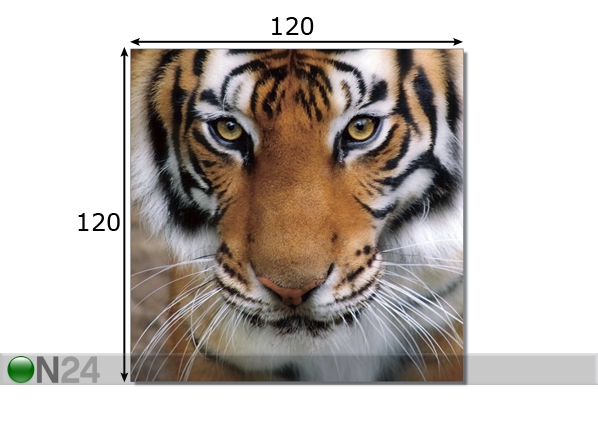 Картина Тигр 120x120 cm размеры