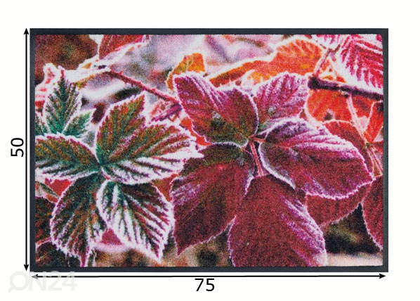 Ковер Frozen Leaves 50x75 cm размеры