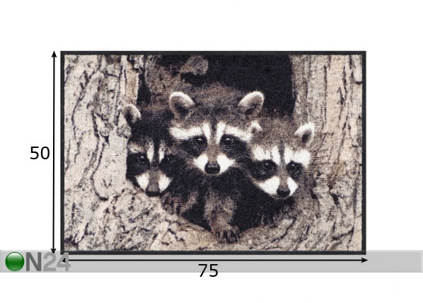 Ковер Little Racoons 50x75 cm размеры