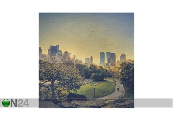 Настенная картина на дереве Peaceful Central Park