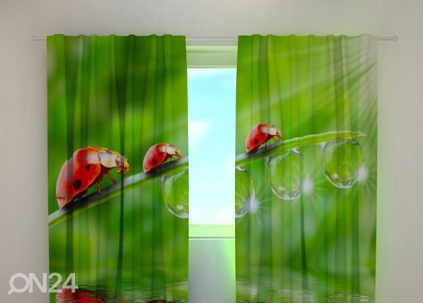 Полузатемняющая штора Ladybirds 240x220 cm