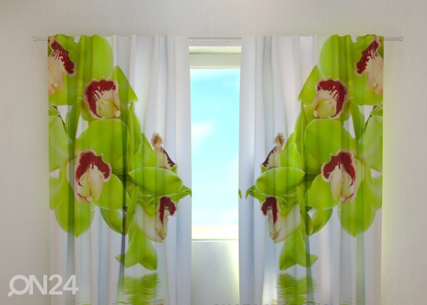 Просвечивающая штора Lime coloured orchid 240x220 см