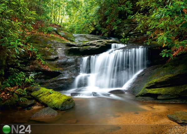 Флизелиновые фотообои Waterfall 4 360x270 см
