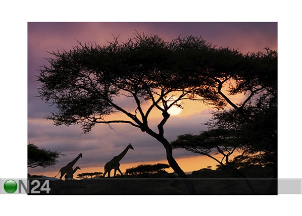 Фотообои African safari 400x280 см