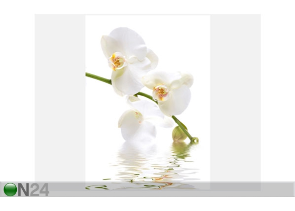 Фотообои Orchid waters 200x280 см