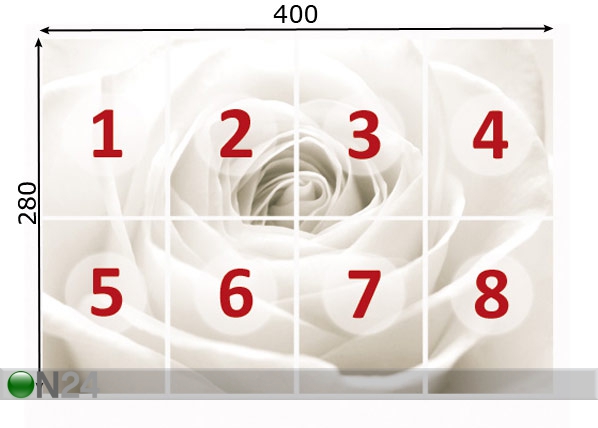 Фотообои The white rose 400x280 см размеры