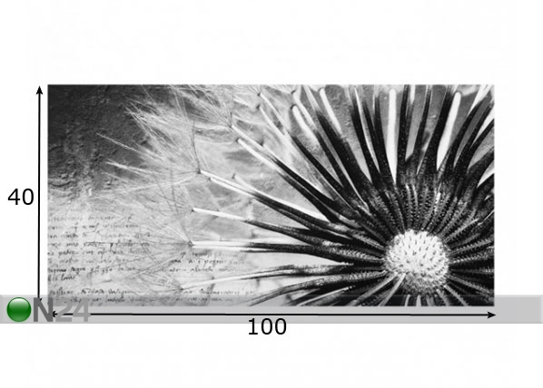 Фотостекло для кухонного фартука Dandelion Black & White 1, 40x100 cm размеры