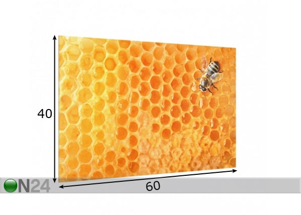 Фотостекло для кухонного фартука Honey Bee 40x60 cm размеры